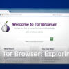 what is tor browser