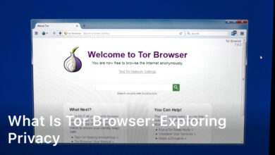 what is tor browser