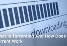 what is torrenting