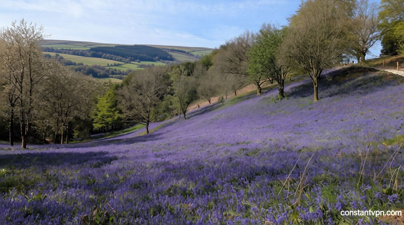 Temperatures to fall this week after the bank holiday