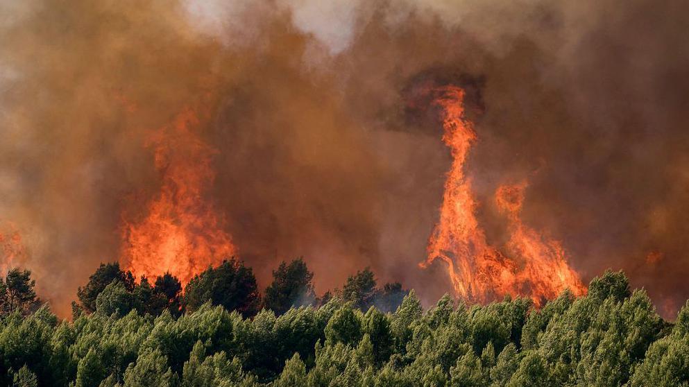 France records 2,025 excess deaths at peak of heatwave as Europe braces for more extreme weather