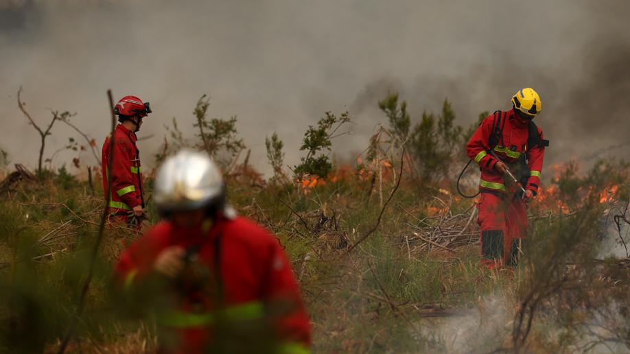 Firefighters battle wildfire as tens of thousands evacuated near Bordeaux