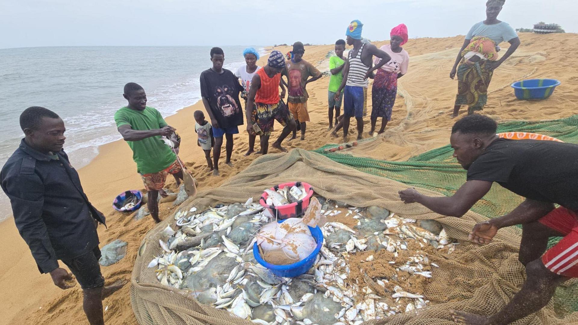 The African fishermen who blame Chinese trawlers for their woes