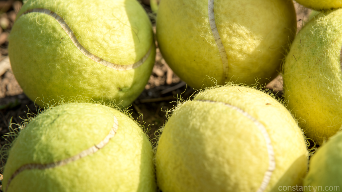 Muchova beats Gauff in epic tie-break to reach Noskova final