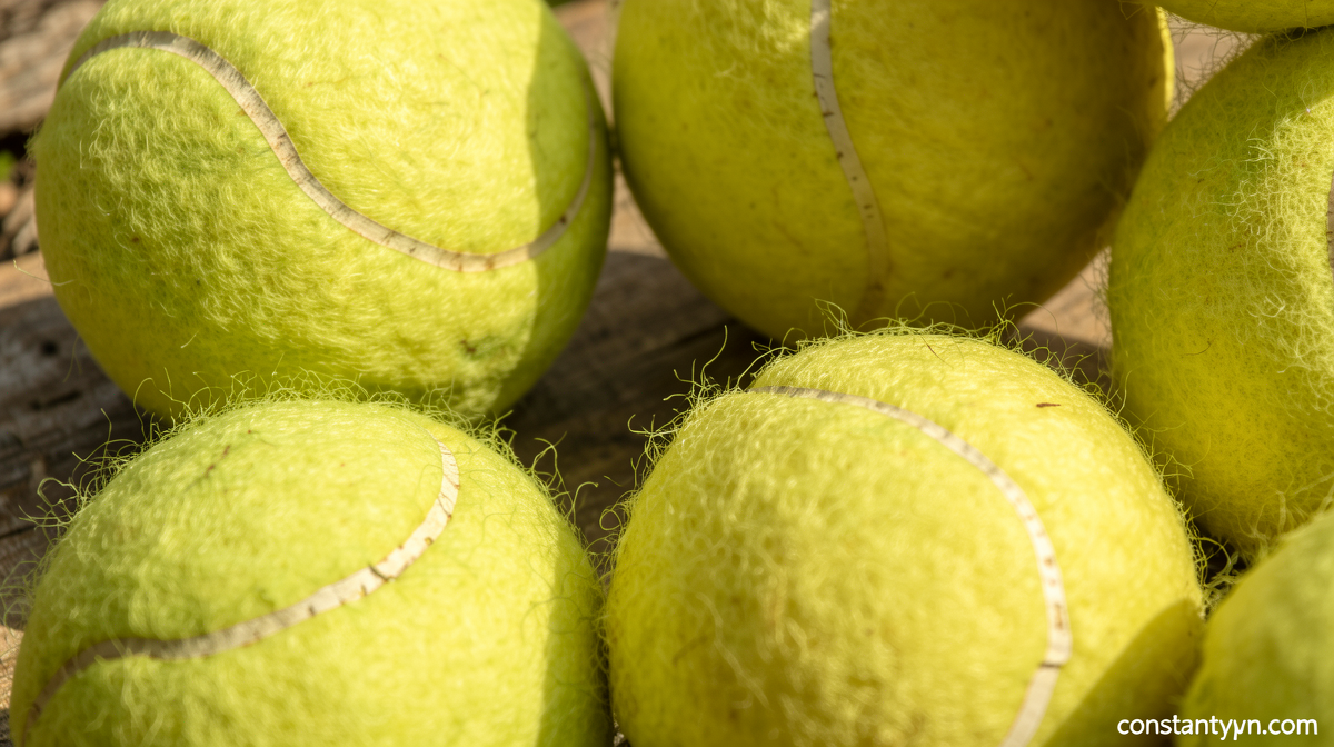 From shock loss to Wimbledon title – resilient Sinner rises back to top