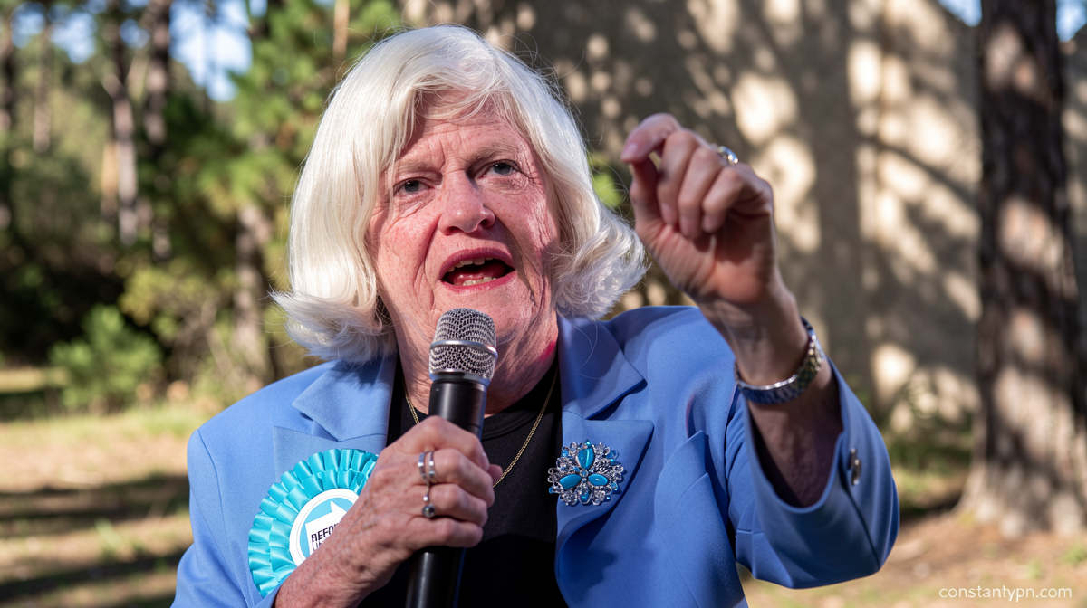 Ann Widdecombe was hit on head 21 times with hammer, prosecutors say