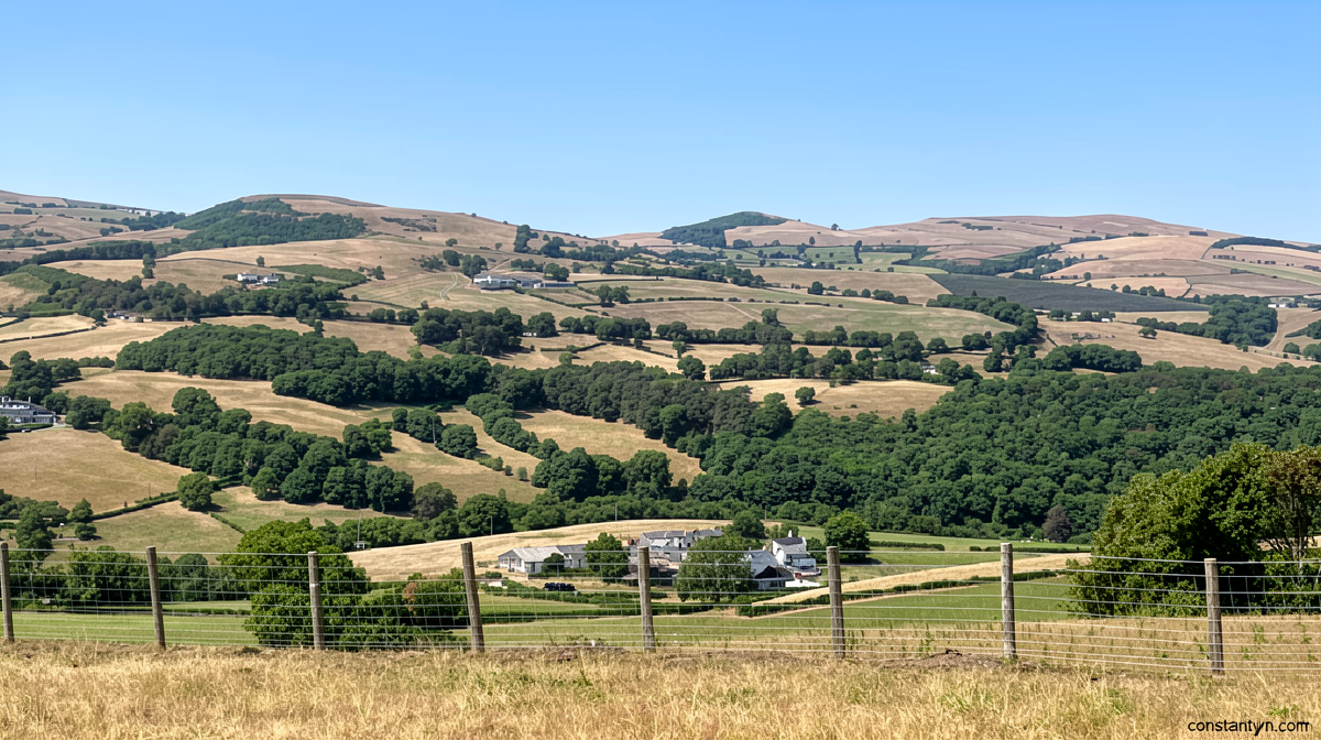 Wildfires and record dry conditions trigger drought in parts of Wales
