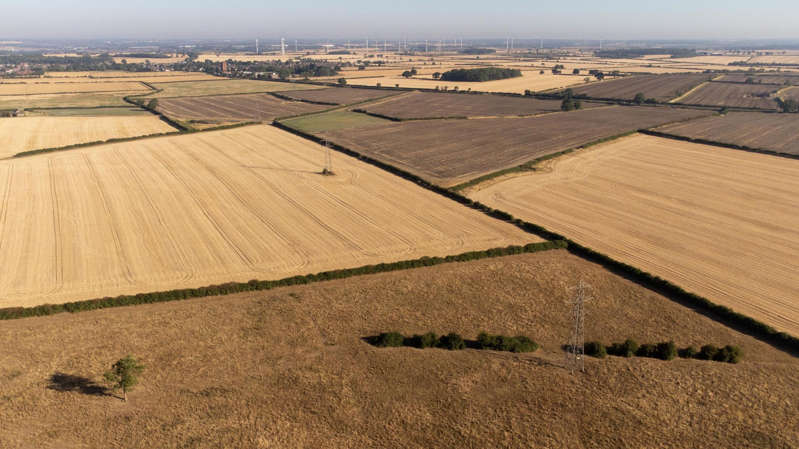 Prolonged drought could cause shortage of some foods, farmers’ union head says